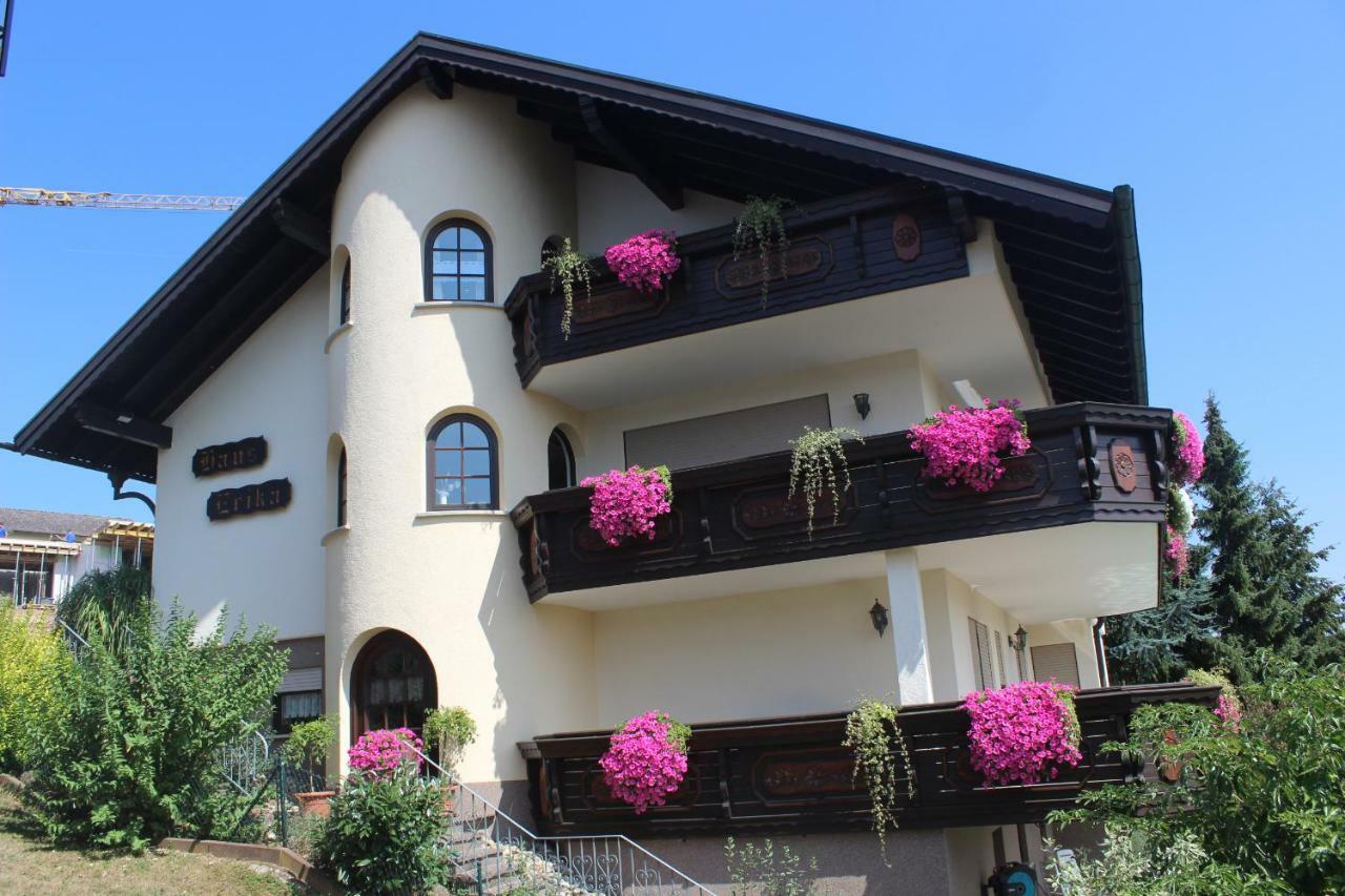 Pension Haus Erika Stadtprozelten Exterior photo